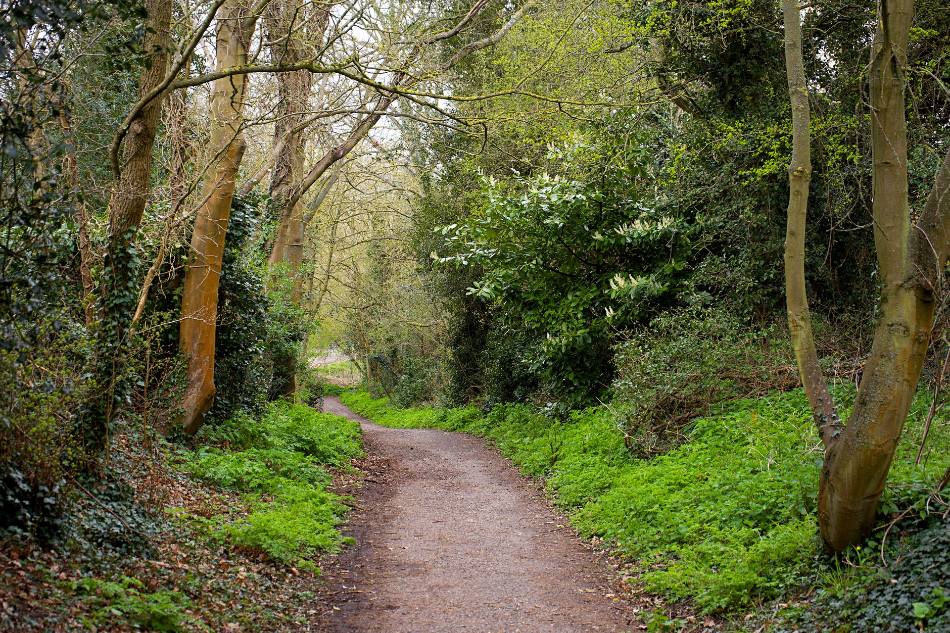 A long-distance footpath through British countryside, perfect for uk national trails for beginners